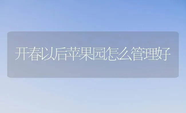 开春以后苹果园怎么管理好 | 瓜果种植