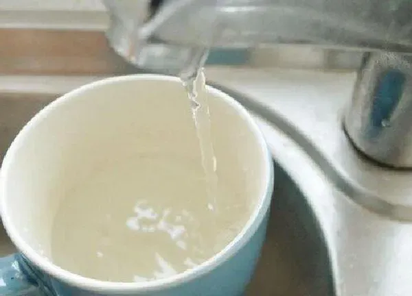 植物浇水|自来水能浇花吗