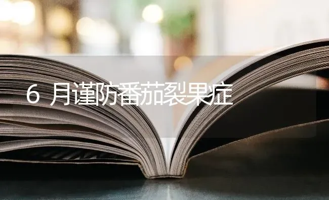 6月谨防番茄裂果症 | 瓜果种植