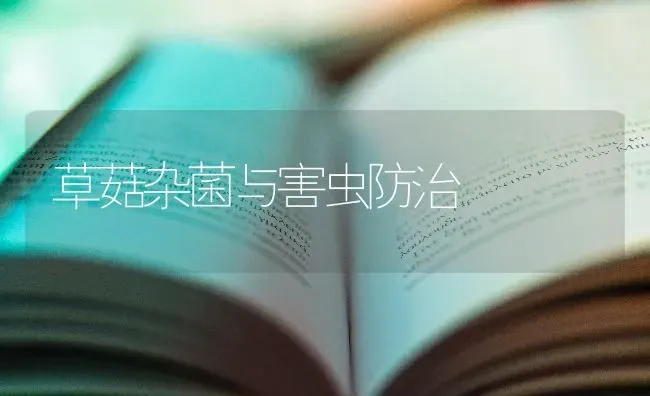 草菇杂菌与害虫防治 | 食用菌种植