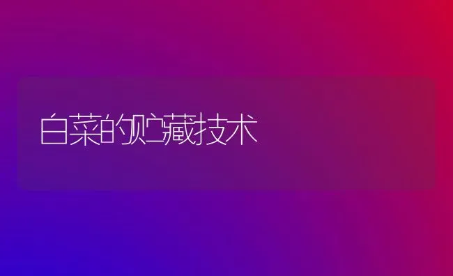 白菜的贮藏技术 | 蔬菜种植