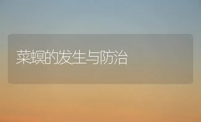 菜螟的发生与防治 | 蔬菜种植