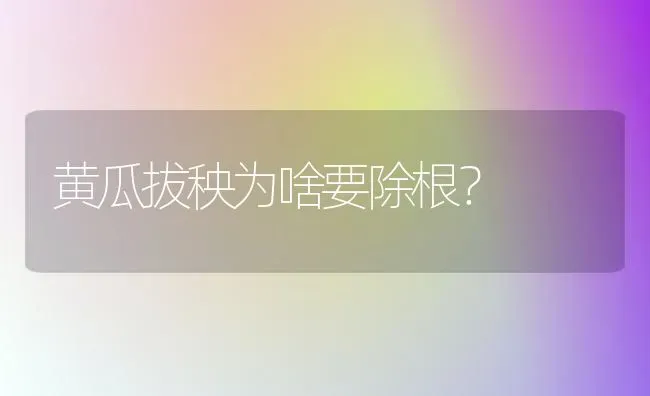 黄瓜拔秧为啥要除根？ | 蔬菜种植