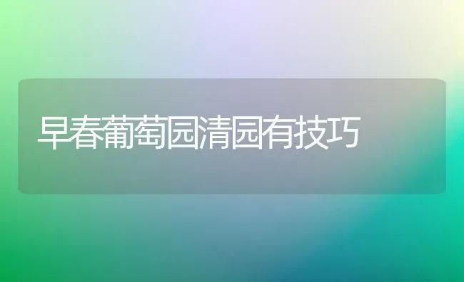 早春葡萄园清园有技巧 | 瓜果种植