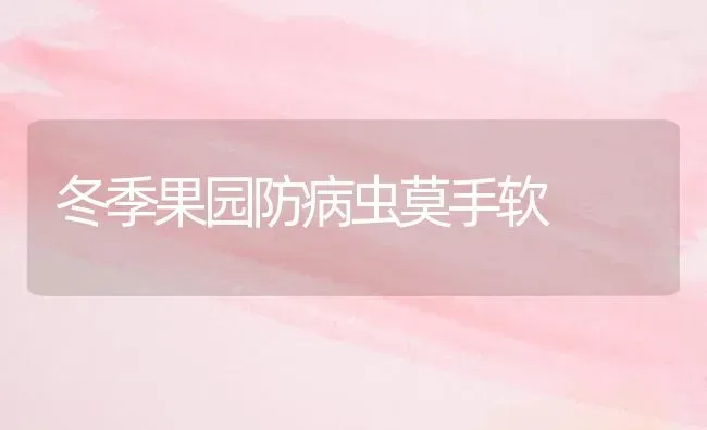 冬季果园防病虫莫手软 | 瓜果种植