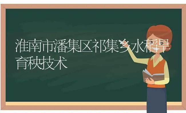 淮南市潘集区祁集乡水稻旱育秧技术 | 粮油作物种植