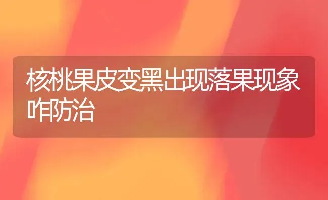 核桃果皮变黑出现落果现象咋防治 | 瓜果种植