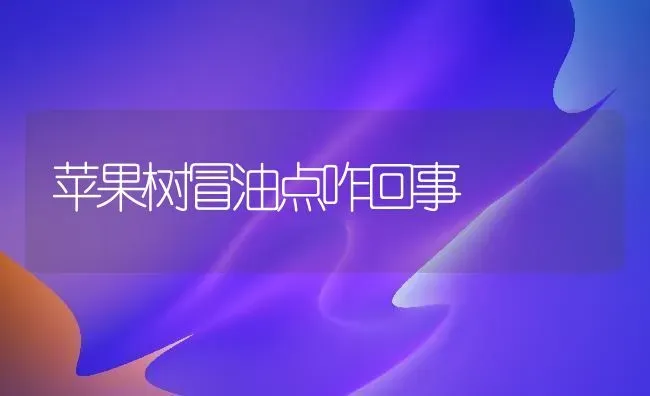 苹果树冒油点咋回事 | 瓜果种植