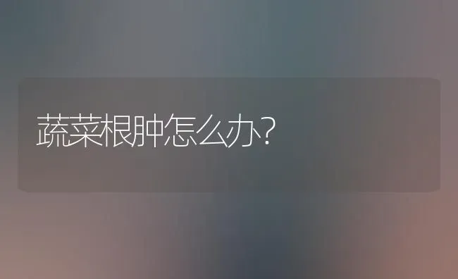 蔬菜根肿怎么办？ | 蔬菜种植