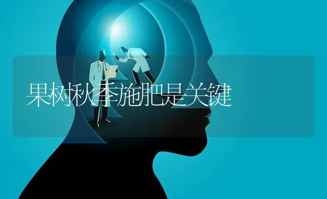 果树秋季施肥是关键 | 瓜果种植