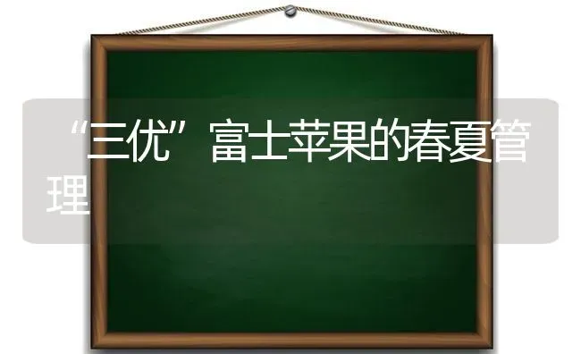 “三优”富士苹果的春夏管理 | 瓜果种植