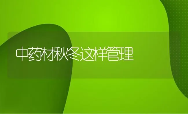 中药材秋冬这样管理 | 药材种植