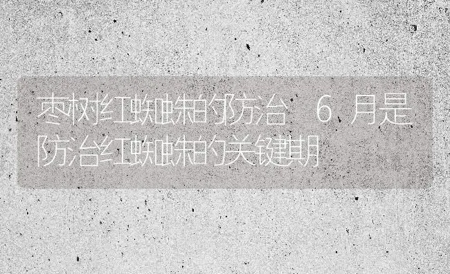 枣树红蜘蛛的防治 6月是防治红蜘蛛的关键期 | 瓜果种植
