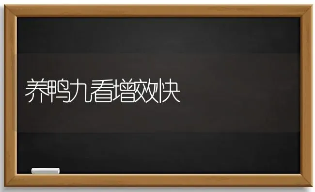 养鸭九看增效快 | 瓜果种植