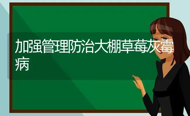 加强管理防治大棚草莓灰霉病 | 瓜果种植