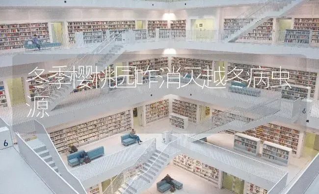 冬季樱桃园咋消灭越冬病虫源 | 瓜果种植