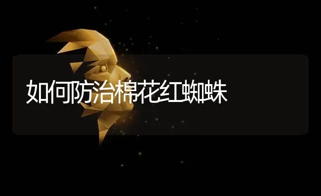 如何防治棉花红蜘蛛 | 粮油作物种植