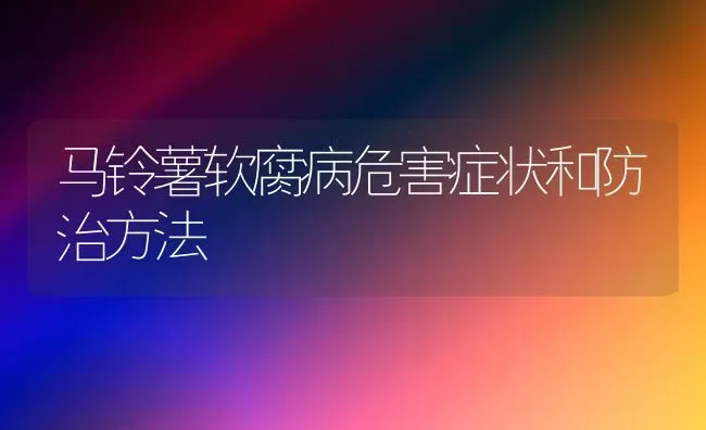 马铃薯软腐病危害症状和防治方法 | 粮油作物种植