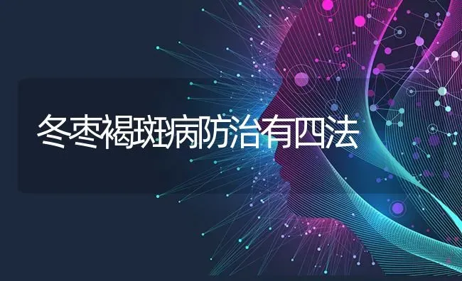 冬枣褐斑病防治有四法 | 瓜果种植