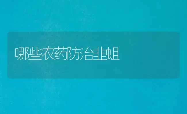 哪些农药防治韭蛆 | 种植病虫害防治