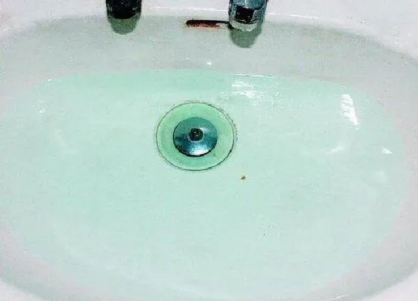植物浇水|自来水能浇花吗