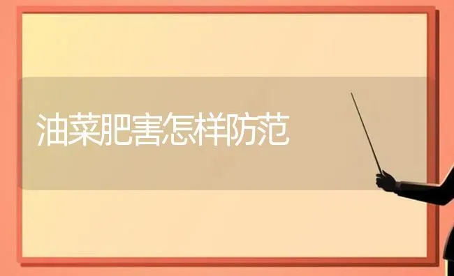 油菜肥害怎样防范 | 粮油作物种植