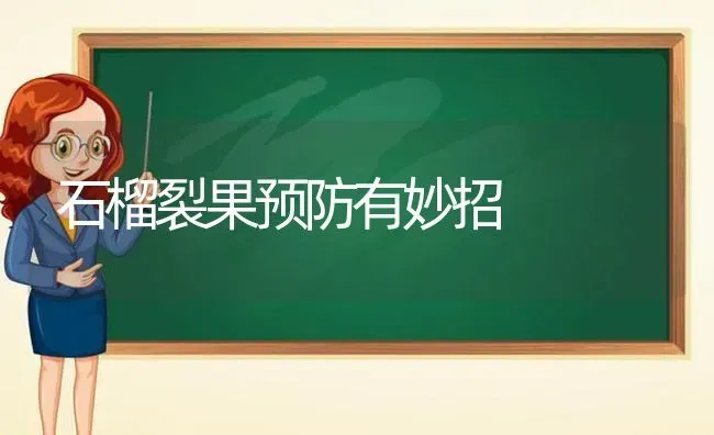 石榴裂果预防有妙招 | 瓜果种植