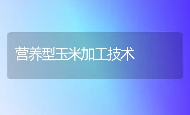 营养型玉米加工技术 | 粮油作物种植