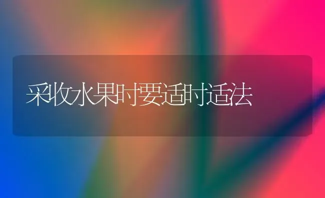 采收水果时要适时适法 | 瓜果种植