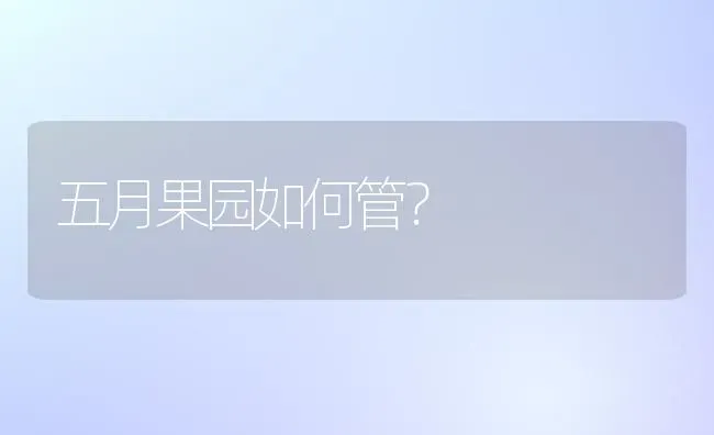 五月果园如何管？ | 瓜果种植