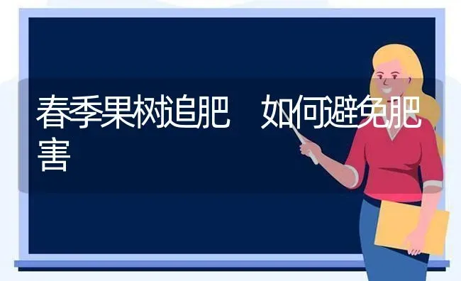 春季果树追肥 如何避免肥害 | 瓜果种植