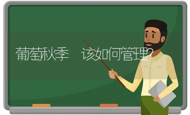 葡萄秋季 该如何管理？ | 瓜果种植