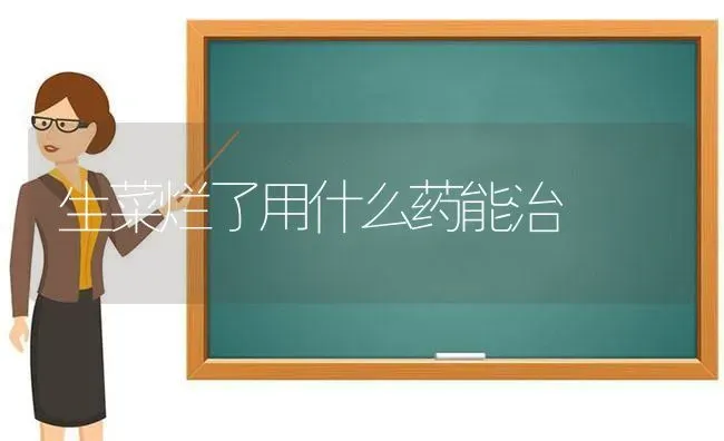 生菜烂了用什么药能治 | 蔬菜种植