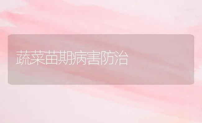 蔬菜苗期病害防治 | 蔬菜种植