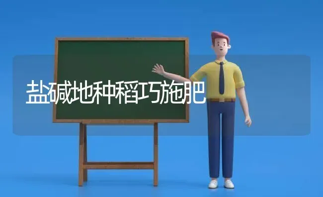 盐碱地种稻巧施肥 | 种植肥料施肥