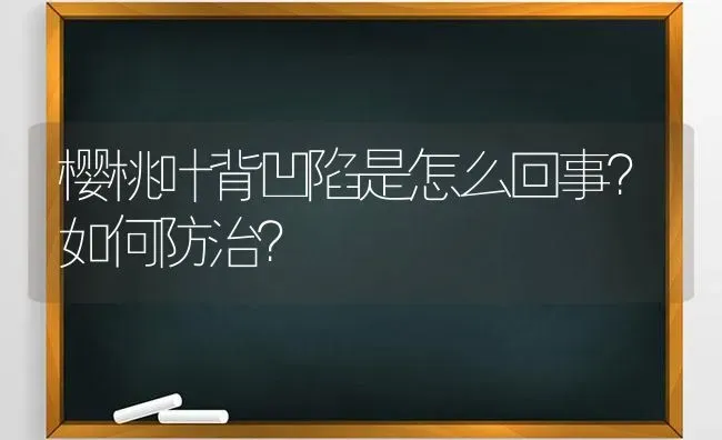 樱桃叶背凹陷是怎么回事？如何防治？ | 瓜果种植