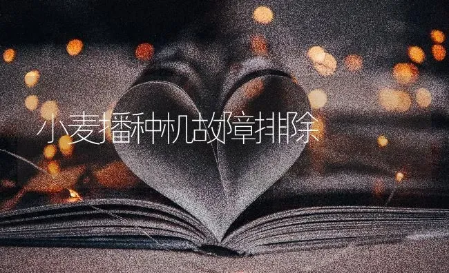 小麦播种机故障排除 | 粮油作物种植