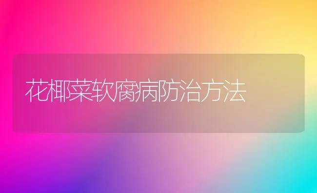 花椰菜软腐病防治方法 | 蔬菜种植