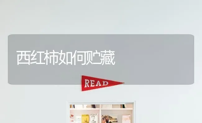 西红柿如何贮藏 | 蔬菜种植