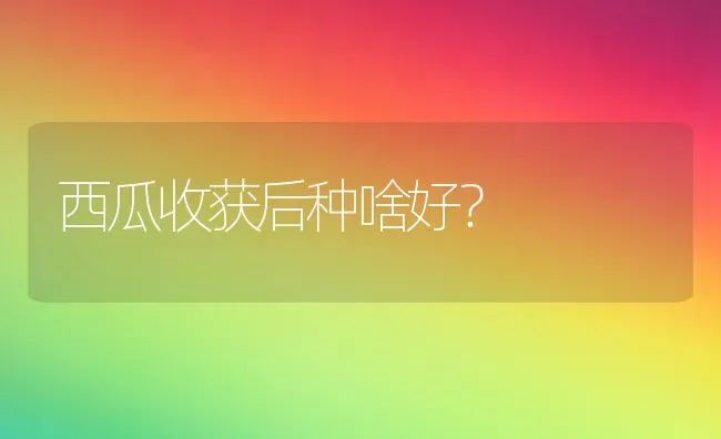 西瓜收获后种啥好？ | 瓜果种植