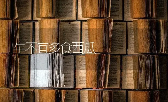 牛不宜多食西瓜 | 瓜果种植