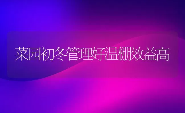 菜园初冬管理好温棚效益高 | 蔬菜种植
