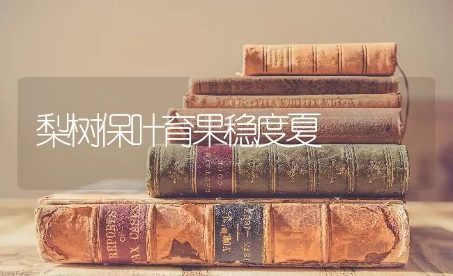 梨树保叶育果稳度夏 | 瓜果种植