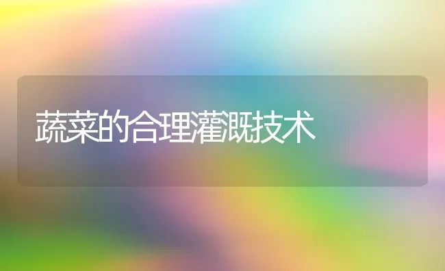 蔬菜的合理灌溉技术 | 蔬菜种植