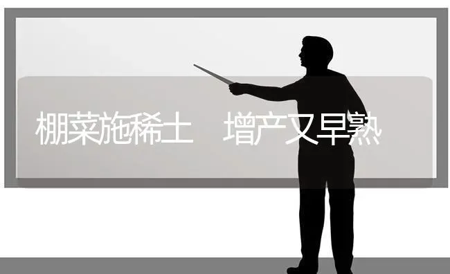 棚菜施稀土 增产又早熟 | 蔬菜种植