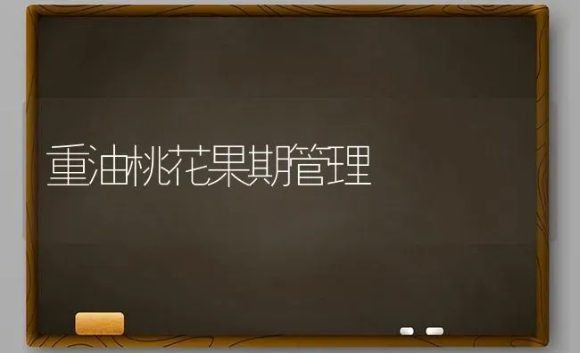 重油桃花果期管理 | 瓜果种植