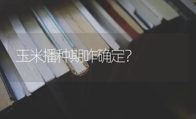 玉米播种期咋确定？ | 粮油作物种植