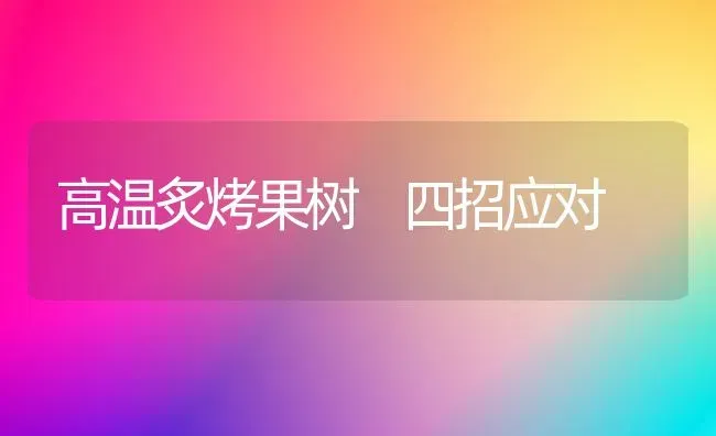 高温炙烤果树 四招应对 | 瓜果种植