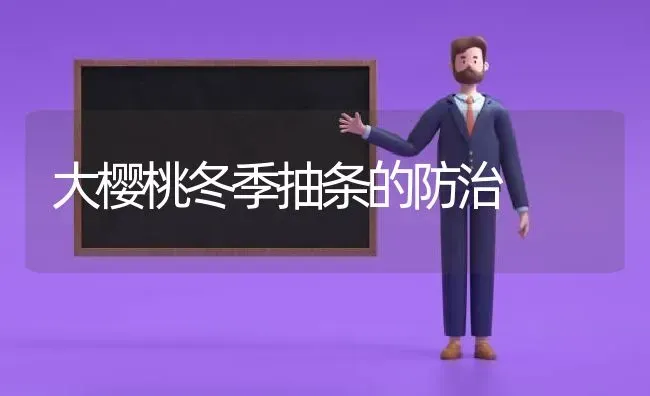 大樱桃冬季抽条的防治 | 瓜果种植