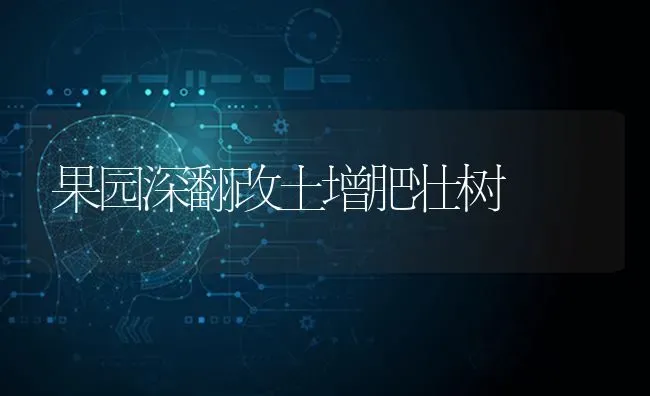 果园深翻改土增肥壮树 | 瓜果种植